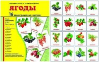 Демонстрационные карточки "Ягоды" - fgospostavki.ru - Сургут