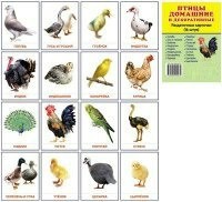 Раздаточные карточки "Птицы домашние и декоративные" - fgospostavki.ru - Сургут