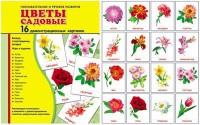 Демонстрационные карточки "Цветы садовые" - fgospostavki.ru - Сургут