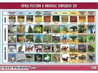 Таблица демонстрационная "Почвы, растения и животные природных зон" (винил 100*140) - fgospostavki.ru - Сургут