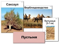 Модель-аппликация "Природные зоны России" (ламинированная) - fgospostavki.ru - Сургут