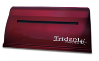 Принтер для печати рельефно-точечным шрифтом Брайля Trident - fgospostavki.ru - Сургут