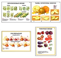 Плакаты ПРОФТЕХ "Ассортимент овощных культур" (12 пл, винил, 70х100) - fgospostavki.ru - Сургут