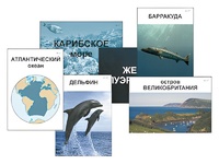 Модель-аппликация "Океаны. Знакомство" (ламинированная) - fgospostavki.ru - Сургут