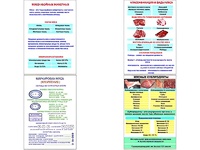Плакаты ПРОФТЕХ "Классификации и виды мяса" (4 пл, винил, 70х100) - fgospostavki.ru - Сургут