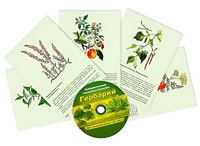 Интерактивный наглядный комплекс "Гербарий "Для начальной школы" - fgospostavki.ru - Сургут