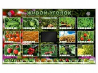 Комплект оборудования "Живой уголок" (растения) - fgospostavki.ru - Сургут