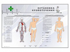 Электрифицированный стенд "Остановка кровотечения" - fgospostavki.ru - Сургут