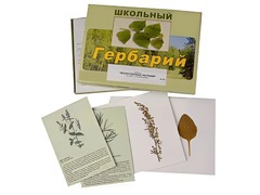 Гербарий "Лекарственные растения" (22 вида с иллюстрациями) - fgospostavki.ru - Сургут