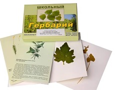 Гербарий "Систематика растений. Высшие споровые и семенные" (раздаточный) - fgospostavki.ru - Сургут
