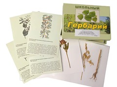 Гербарий "Систематика растений. Семейство Бобовые. Злаки" (раздаточный) - fgospostavki.ru - Сургут