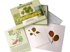 Гербарий "Систематика растений. Семейство Розоцветные" (раздаточный) - fgospostavki.ru - Сургут