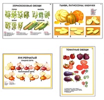 Плакаты ПРОФТЕХ "Ассортимент овощных культур" (12 пл, винил, 70х100) - fgospostavki.ru - Сургут