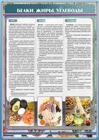 Стенд "Белки. Жиры. Углеводы" - fgospostavki.ru - Сургут