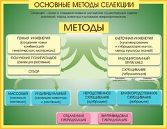 Стенд "Методы селекции и биотехнологии" - fgospostavki.ru - Сургут