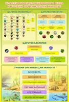 Стенд "Классификация животного мира" - fgospostavki.ru - Сургут
