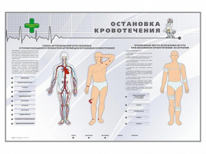Электрифицированный стенд "Остановка кровотечения" - fgospostavki.ru - Сургут