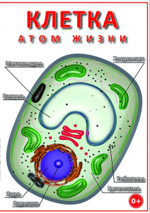 DVD "Клетка - "атом жизни" - fgospostavki.ru - Сургут