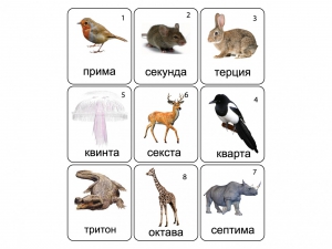 Набор магнитных карточек по музыке "Животные" (9 штук) - fgospostavki.ru - Сургут