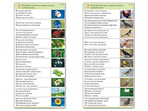 Комплект карточек (10) "Обучающий калейдоскоп. Природа" - fgospostavki.ru - Сургут