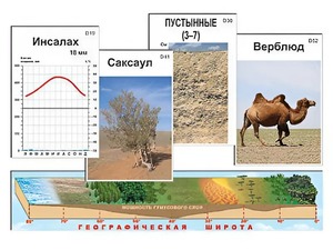 Модель-аппликация "Природные зоны" - fgospostavki.ru - Сургут