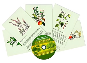 Интерактивный наглядный комплекс "Гербарий "Для начальной школы" - fgospostavki.ru - Сургут