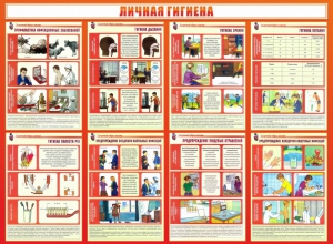 Стенд "Личная гигиена" - fgospostavki.ru - Сургут