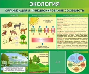 Стенд "Экология. Организация и функционирование сообществ" - fgospostavki.ru - Сургут