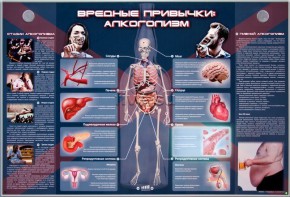 Электрифицированный стенд "Вредные привычки: алкоголизм" - fgospostavki.ru - Сургут