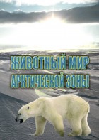 DVD "Животный мир Арктической зоны" - fgospostavki.ru - Сургут