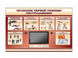 Многофункциональный интерактивный стенд-тренажер "Оказание первой помощи пострадавшим" для учащихся общеобразовательных учреждений - fgospostavki.ru - Сургут