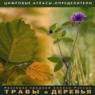 Растения средней полосы России "Травы и Деревья". (Цифровые атласы-определители) - fgospostavki.ru - Сургут
