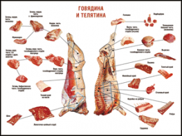 Таблица "Правила разделки мясных туш. Говядина и телятина" (100х140 сантиметров, винил) - fgospostavki.ru - Сургут
