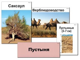 Модель-аппликация "Природные зоны России" (ламинированная) - fgospostavki.ru - Сургут