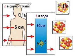 Модель-аппликация "Явление радиоактивности" (ламинированная) - fgospostavki.ru - Сургут
