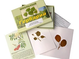Гербарий "Систематика растений. Семейство Розоцветные" (раздаточный) - fgospostavki.ru - Сургут
