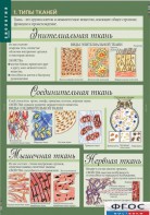 Комплект таблиц. Биология 8-9 класс. Человек. - fgospostavki.ru - Сургут