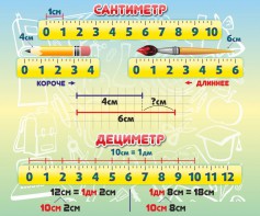 Стенд "Сантиметр" - fgospostavki.ru - Сургут