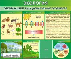 Стенд "Экология. Организация и функционирование сообществ" - fgospostavki.ru - Сургут