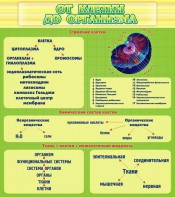 Стенд "От клетки до организма" - fgospostavki.ru - Сургут